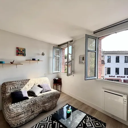 Climatise Derriere La Cathedrale St-sernin Apartment